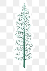 Cute pine tree sticker with a white border design element