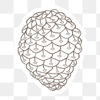 Monterey pine cone sticker with a white border design element