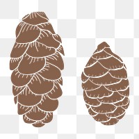 Picea glauca pine cone sticker design element