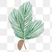 Cute pine tree branch sticker design element