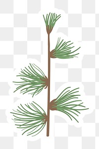 Cute pine tree branch sticker with a white border design element