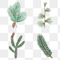 Cute pine tree sticker design element set