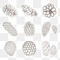 Conifer cone sticker with a white border design element set