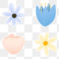 Colorful floral sticker collection transparent png