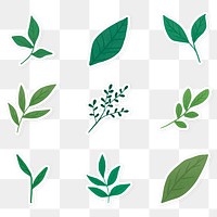 Green leaves sticker collection transparent png