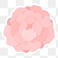 Pink hydrangea flower sticker transparent png
