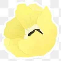 Yellow poppy flower sticker transparent png