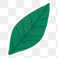 Green leaves sticker transparent png