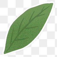Green leaf sticker transparent png
