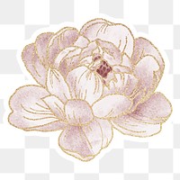 Pink peony flower sticker overlay with gold elements 