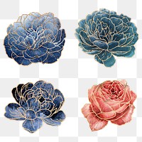 Cabbage rose and peony sticker set with gold elements 