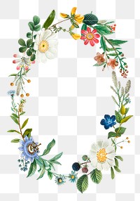 Vintage botanical frame png sticker