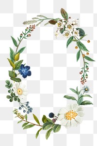 Vintage botanical frame png sticker