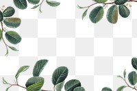 Png green leaf frame border transparent background