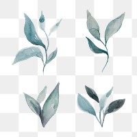 Hand painted watercolor leaves transparent png set