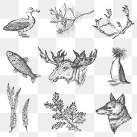 Animal drawing collection social ads template transparent png