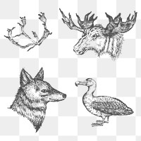 Animal drawing social ads template collection transparent png
