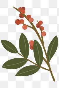 Red winterberry flower transparent png