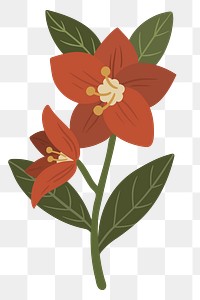 Blooming red botanical transparent png