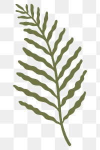 Green botanical leaf transparent png