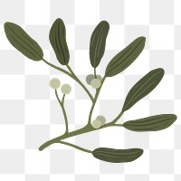 Botany mistletoe plant social ads template transparent png