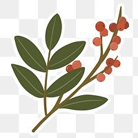 Winterberry branches element transparent png