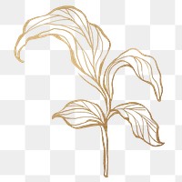 Detailed golden leaves transparent pg