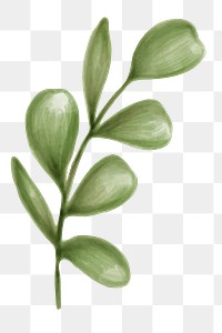 Hand drawn green leaves transparent png