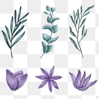 Hand drawn floral set transparent png