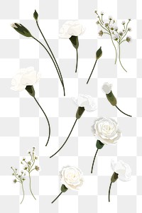 White flowers design resource collection transparent png