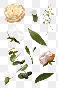 Flowers and leaves design resource | Premium PNG - rawpixel