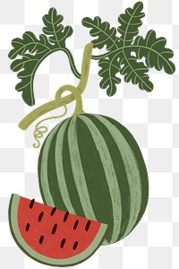 Hand drawn watermelon design resource transparent png