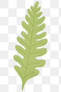 Green oak leaf design element transparent png