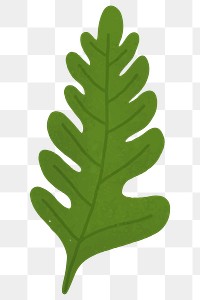 Green oak leaf design element transparent png