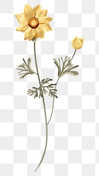 Blooming yellow flower design element 