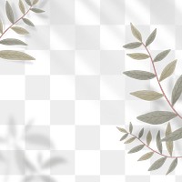Tropical leaf and shadow frame png