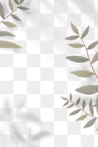 Wall leaves shadow frame png