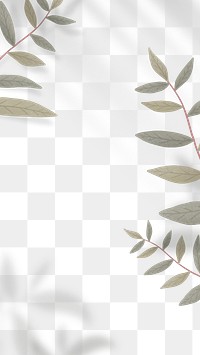 Leaves and shadows frame png background