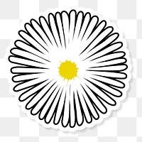 Hand drawn white common daisy flower transparent png