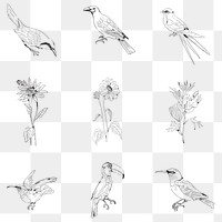 Hand drawn birds and flowers collection transparent png