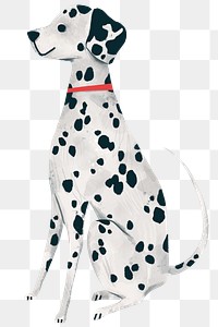 Dalmatian puppy drawing transparent png