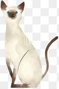 Siamese cat on a beige background transparent png
