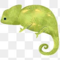 Green Chameleon on a beige background transparent png