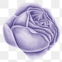 Vintage rose flower transparent png