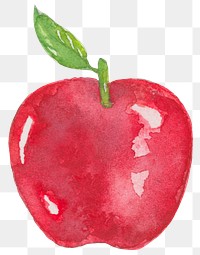 PNG apple watercolor education graphic digital sticker