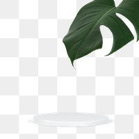 Png 3D simple product display podium with monstera leaf