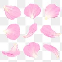 Flower petal png design element set