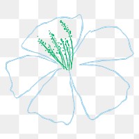 Hibiscus png blue flower doodle illustration