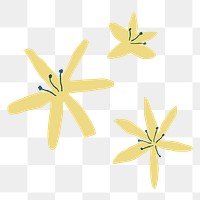 Jasmine png yellow flower doodle illustration