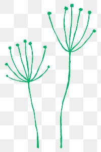 Dandelion png green flower with branch doodle illustration